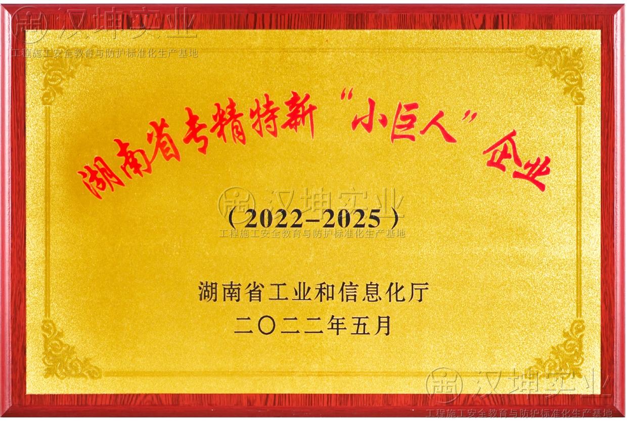 小巨人企業(yè)