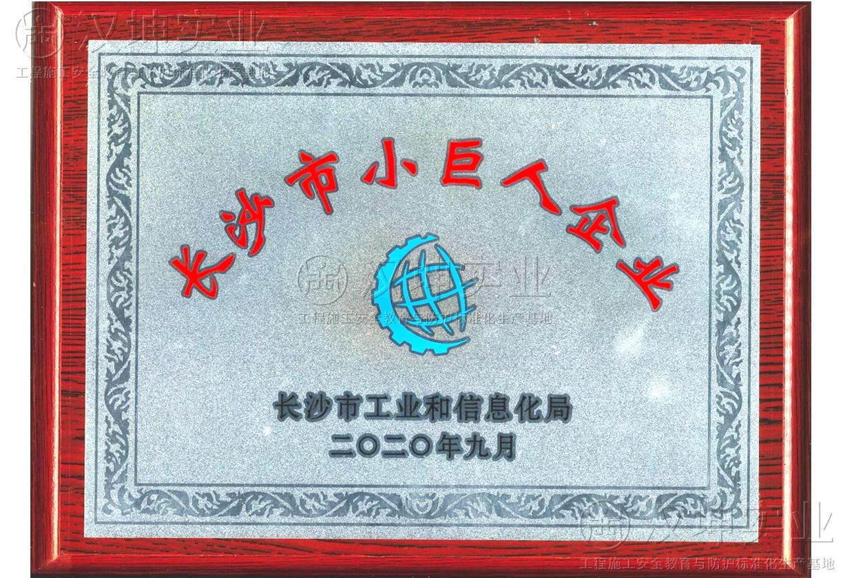 長(zhǎng)沙市小巨人